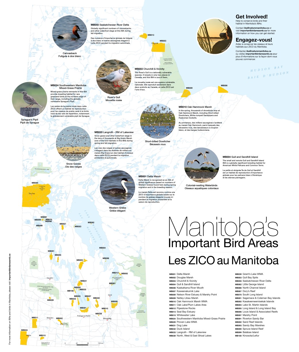 IBA Manitoba Map