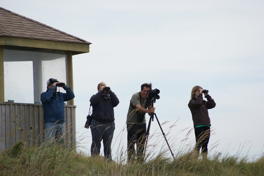 Groups of birders at Whitewater Lake. Photo by Bev Sawchuk.