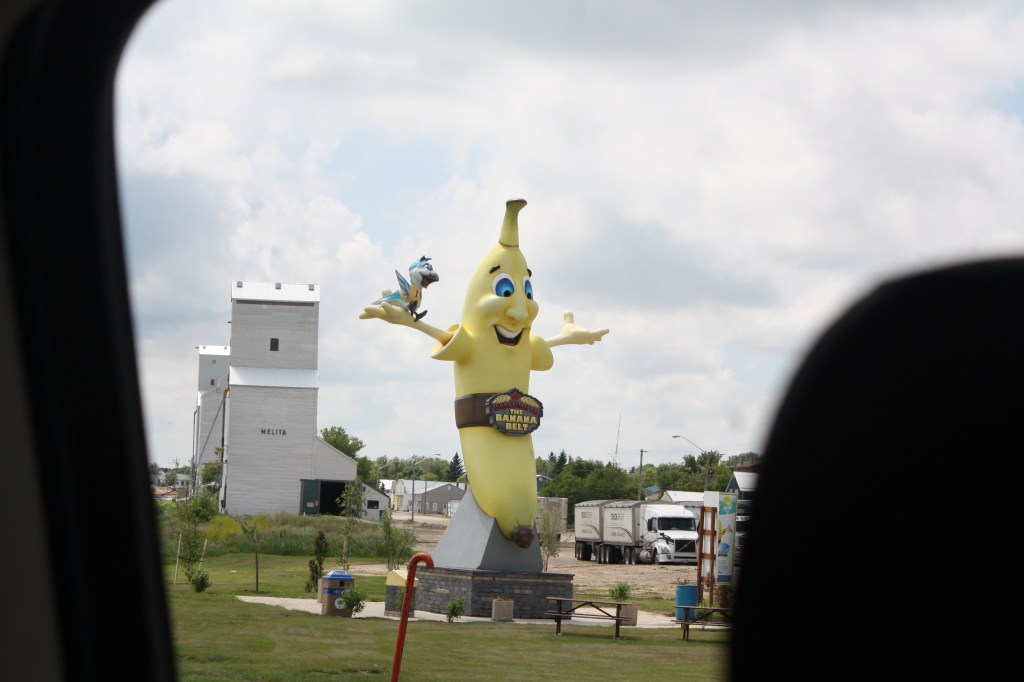 Back to Melita to be welcomed by a smiling Banana with a Blue Jay on its shoulder. The Blue Jay's t-shirt has 'IBA' written on it! Photo (taken from a moving vehicle) by Tim Poole