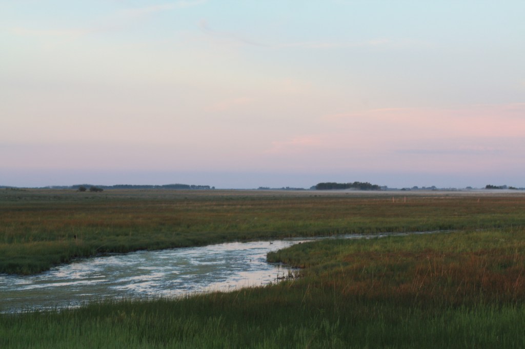 The early start and dim light makes birding by ear the priority. Photo by Tim Poole