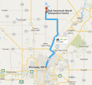 Oak Hammock Directions