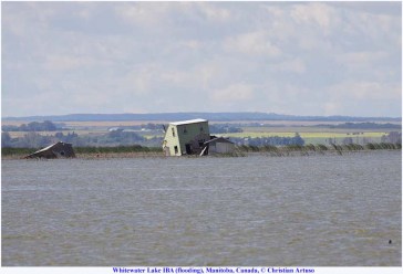 00_Artuso_Whitewater Lake flooded house_7563