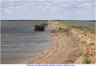 00_Artuso_Whitewater Lake flooding_7550_old road