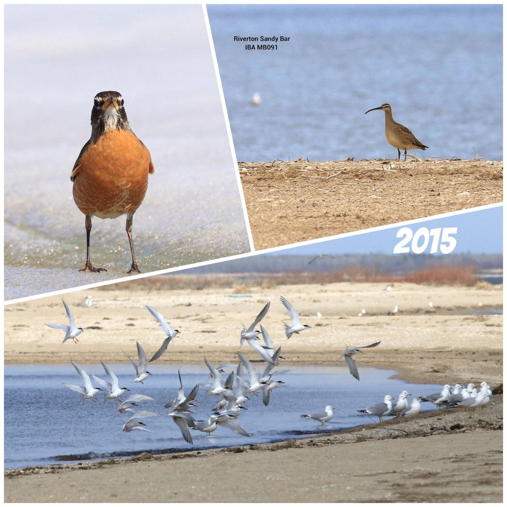 Processed with Moldiv