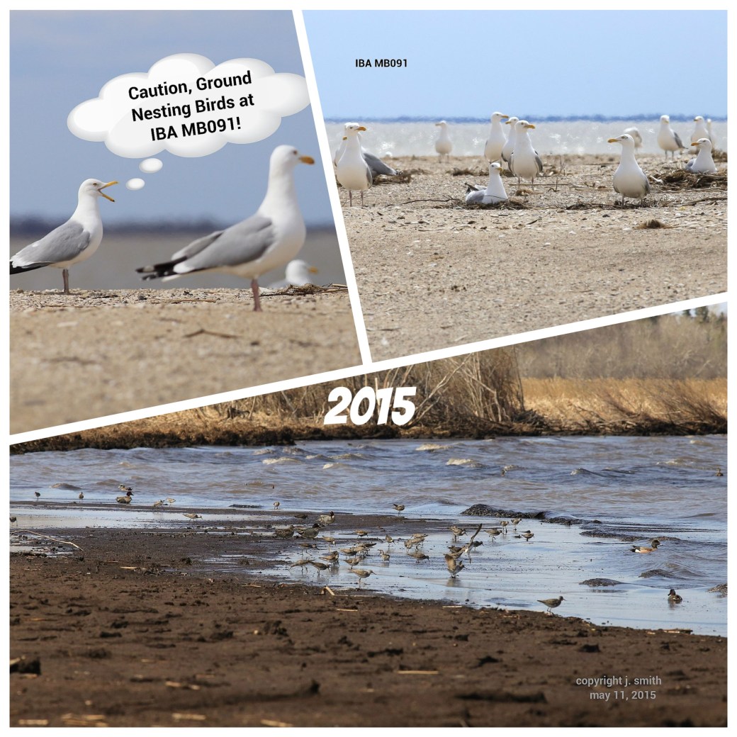 Processed with Moldiv