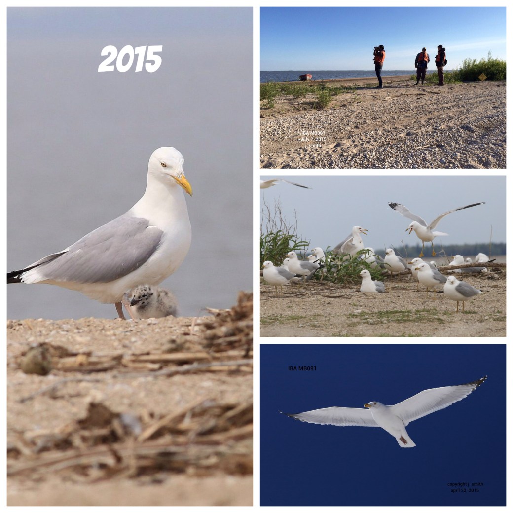 Processed with Moldiv