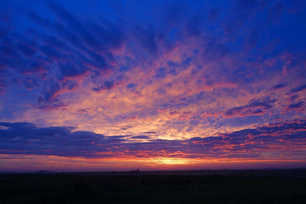 sunrise by Betsy Thorsteinson_small