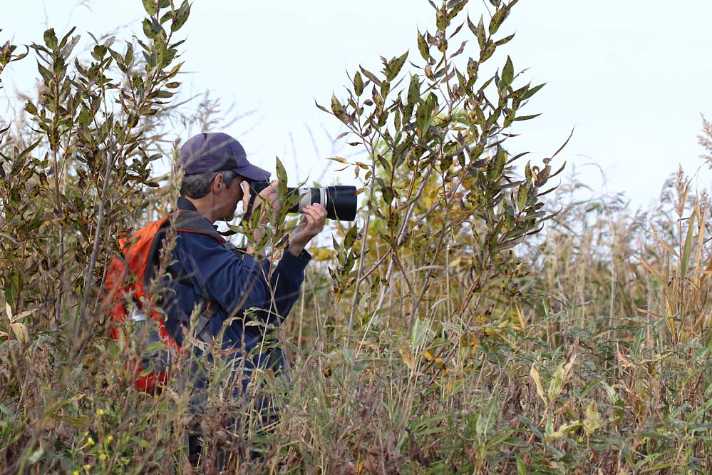 joanne-smith-at-riverton-sandy-bar_5176