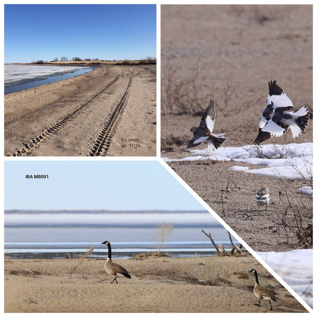 Processed with MOLDIV