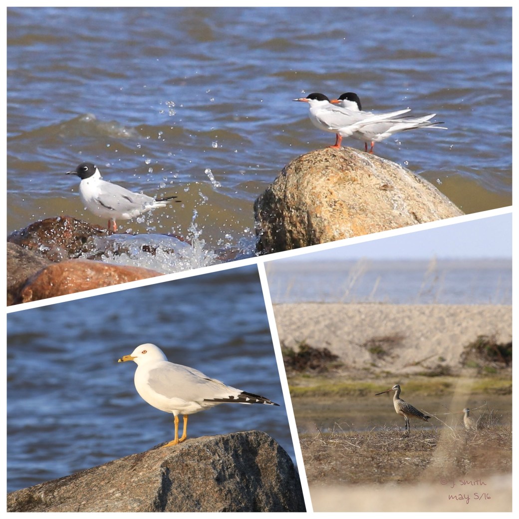 Processed with MOLDIV