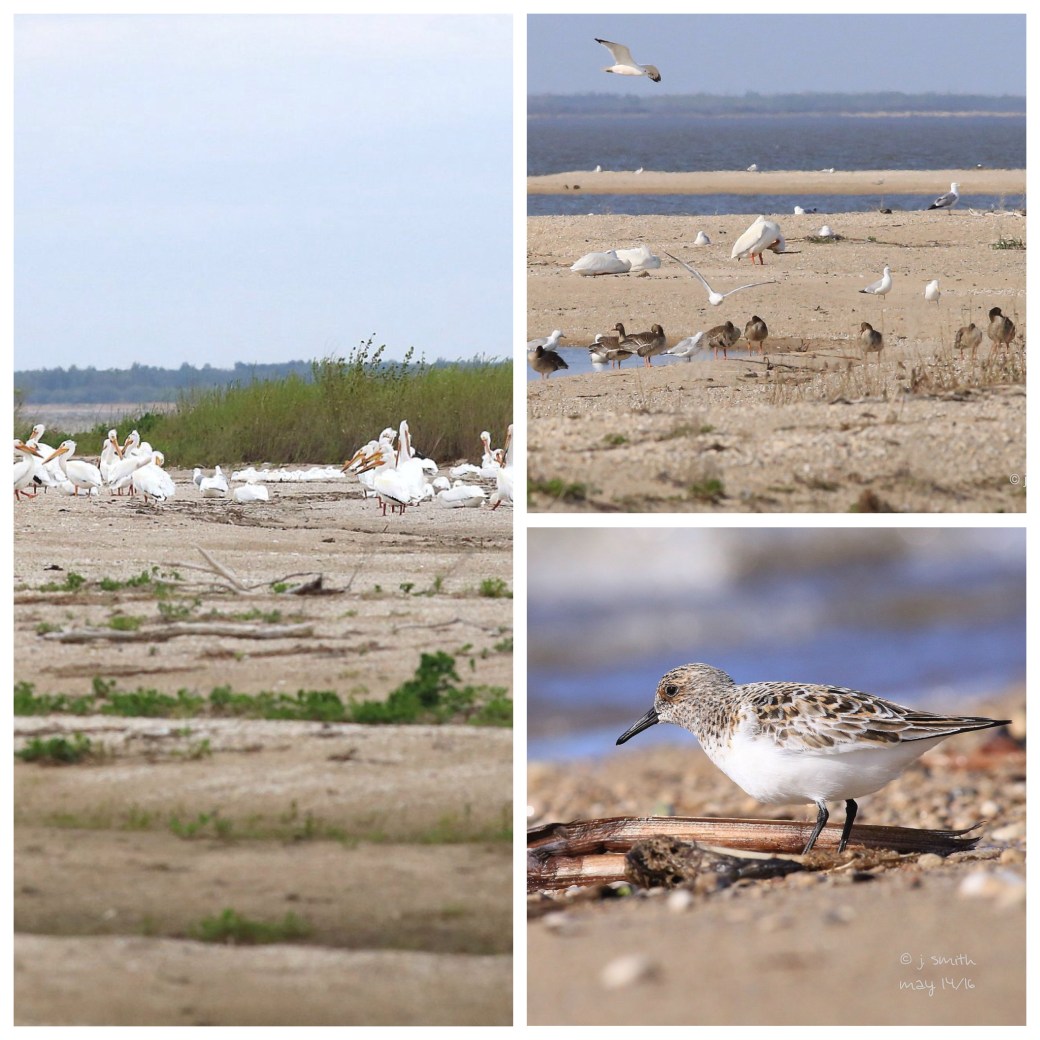 Processed with MOLDIV