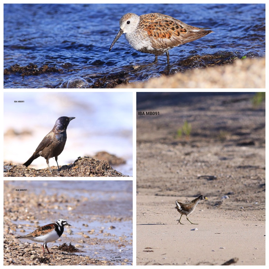 Processed with MOLDIV