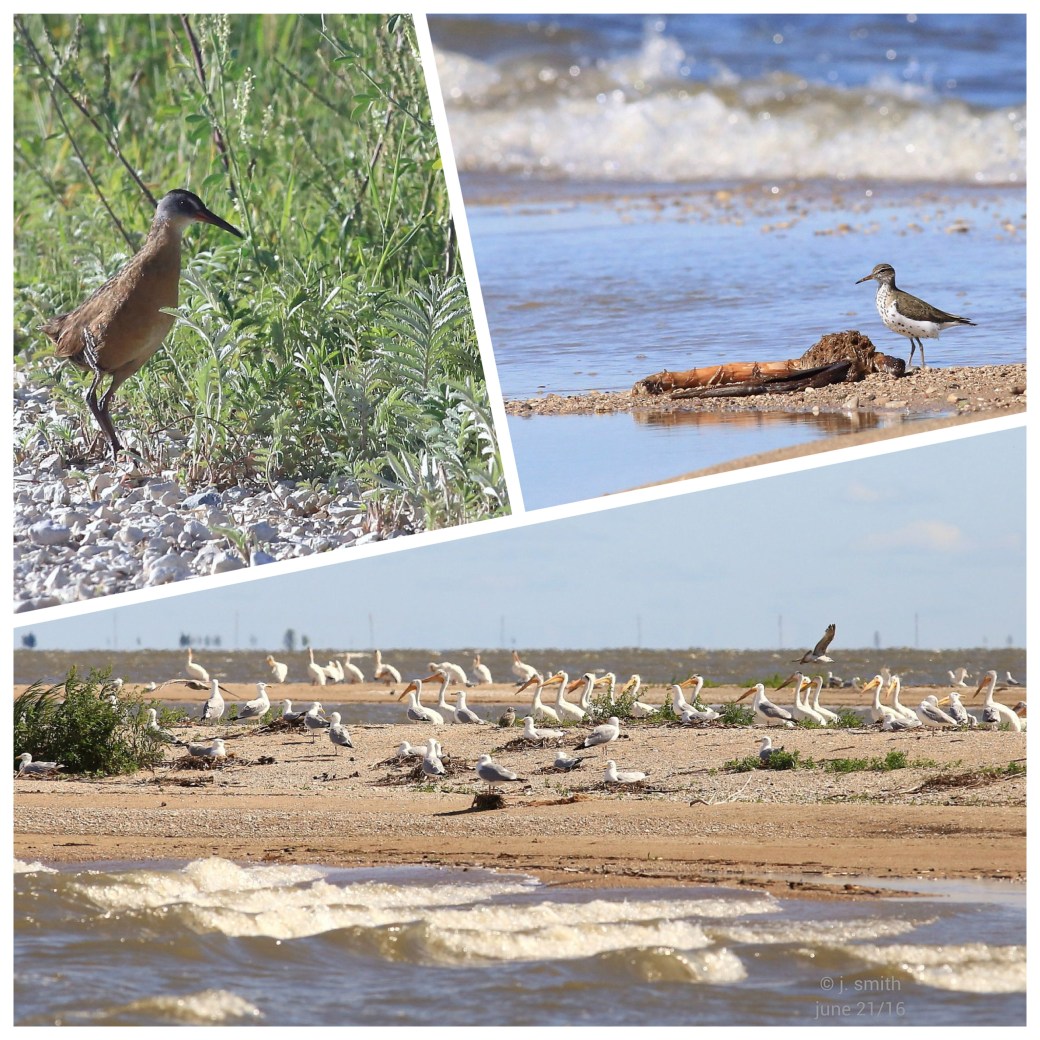 Processed with MOLDIV