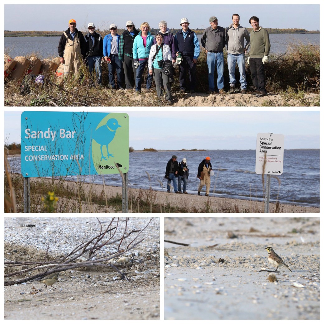 Processed with MOLDIV