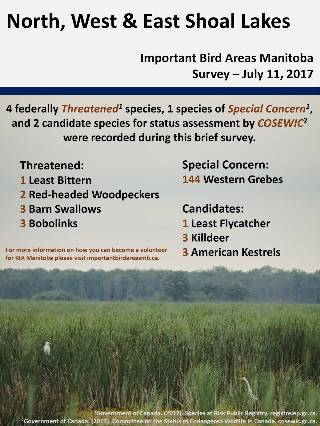 ShoalLakes-INFOGRAPHIC