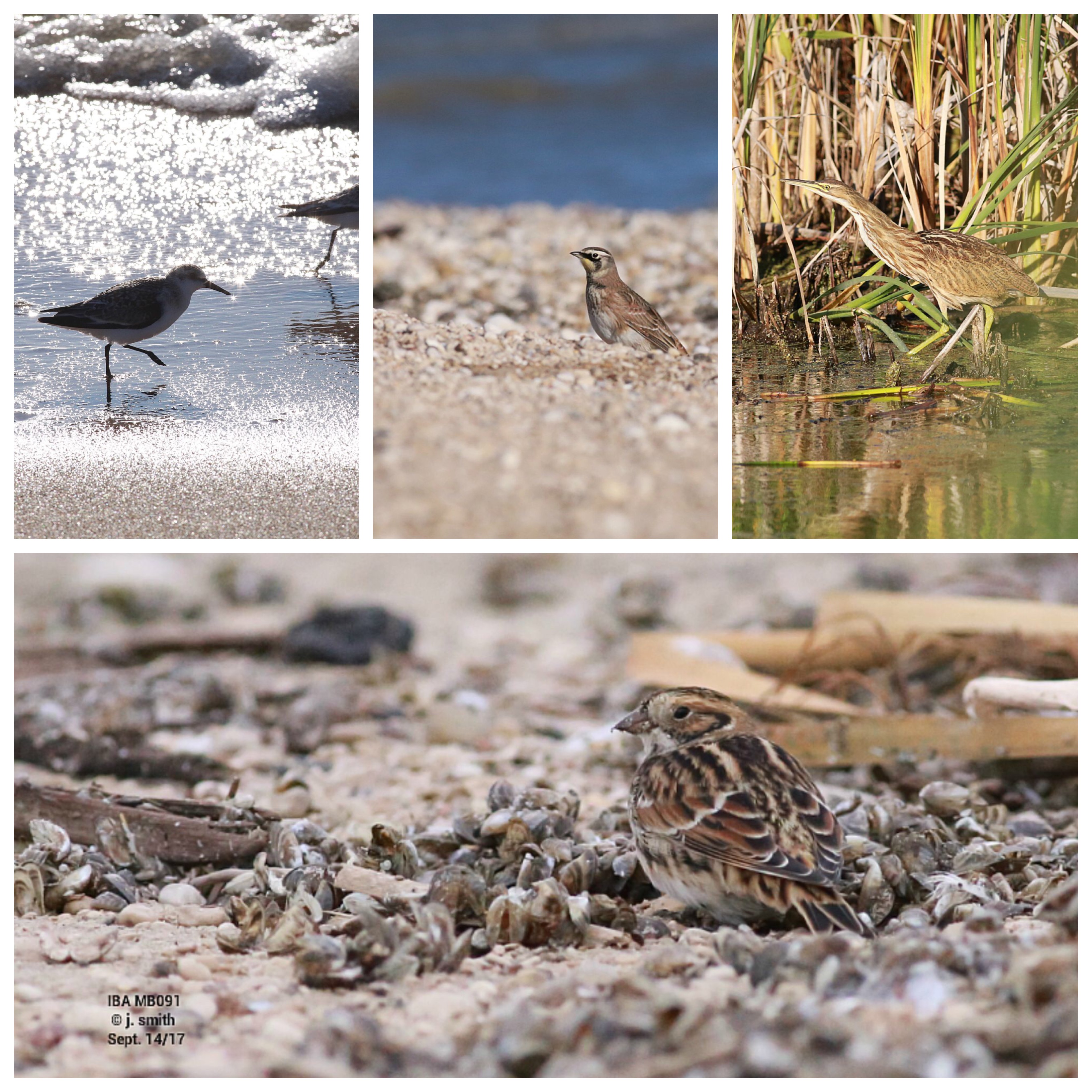 otherAppsImage (11).JPG