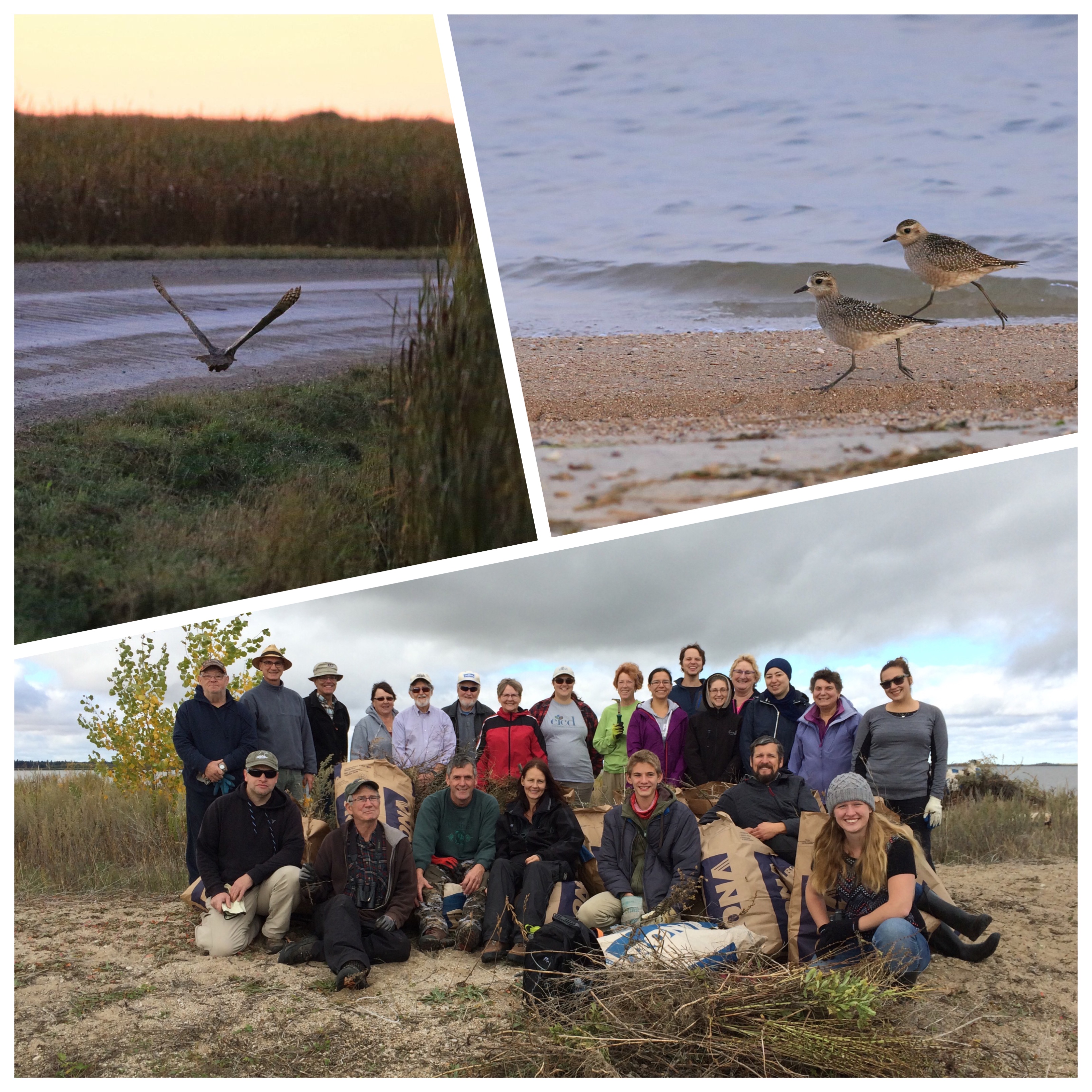 otherAppsImage (12).JPG