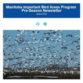 March 2018 Newsletter Cover