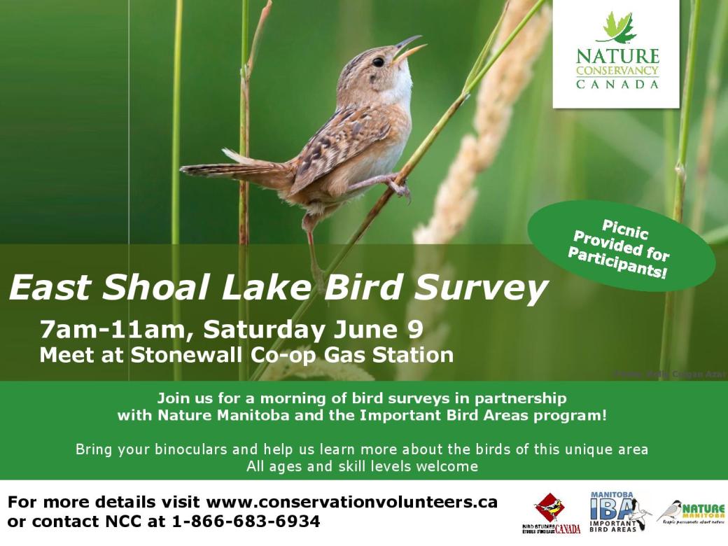 ESL Bird Survey 2018 Poster-page-001.jpg