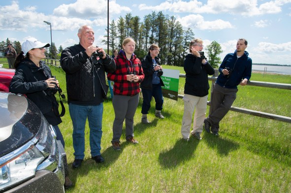 Oak_Lake_IBA_Blitz_Orchard_Oriole_sighting_OakPlum Lakes_June 32018_copyright Cam Nikkel