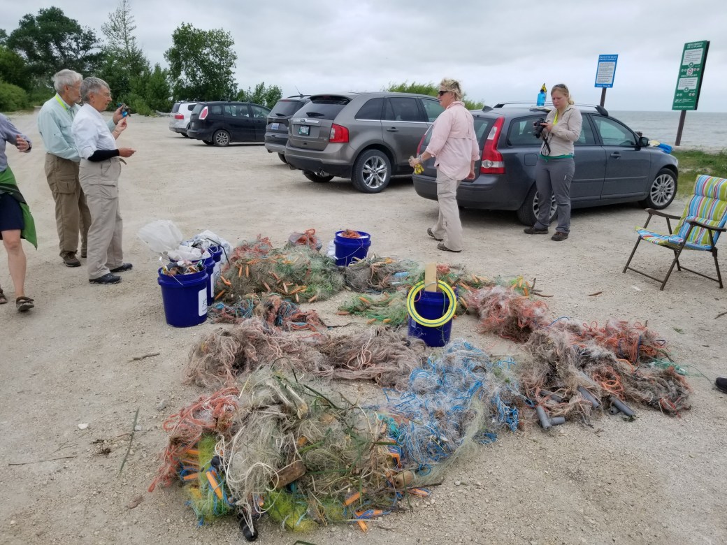 20180711_110204_resized