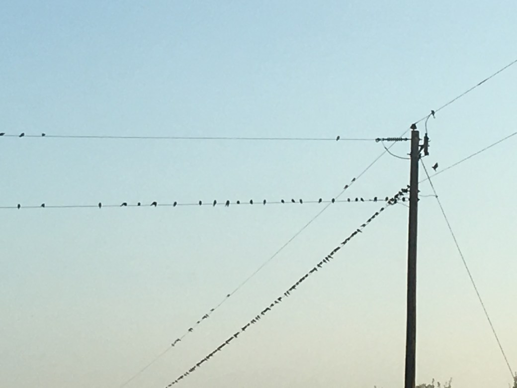 5CD9D94C-C63B-45E6-AAEE-18EA10250A16