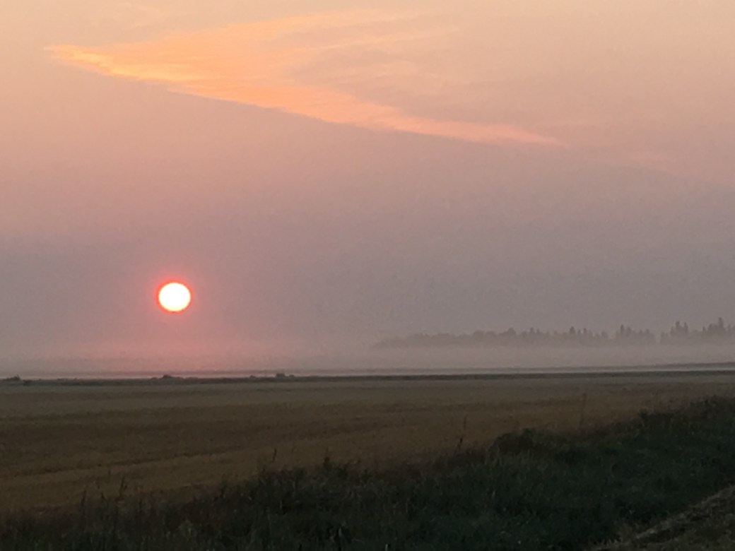 5FF6E6B6-85E6-42DE-8A00-5A515F2AE5E8