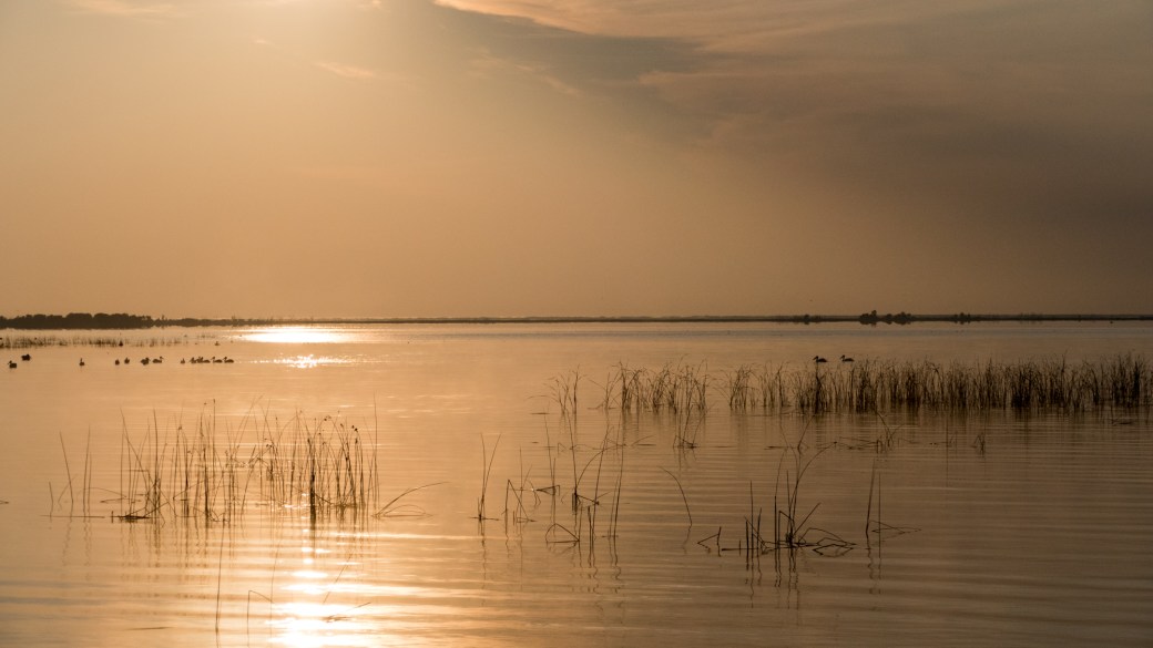 Team3 Bioblitz2-West Shoal Lake-MB-000-SMALL-Lynnea A Parker-1120555