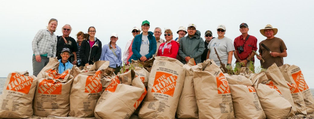 Weed Pull-Riverton Sandy Bar IBA-MB-000-SMALL-Lynnea A Parker-1110881