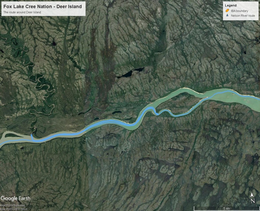 Fox Lake Cree Nation - Deer Island area