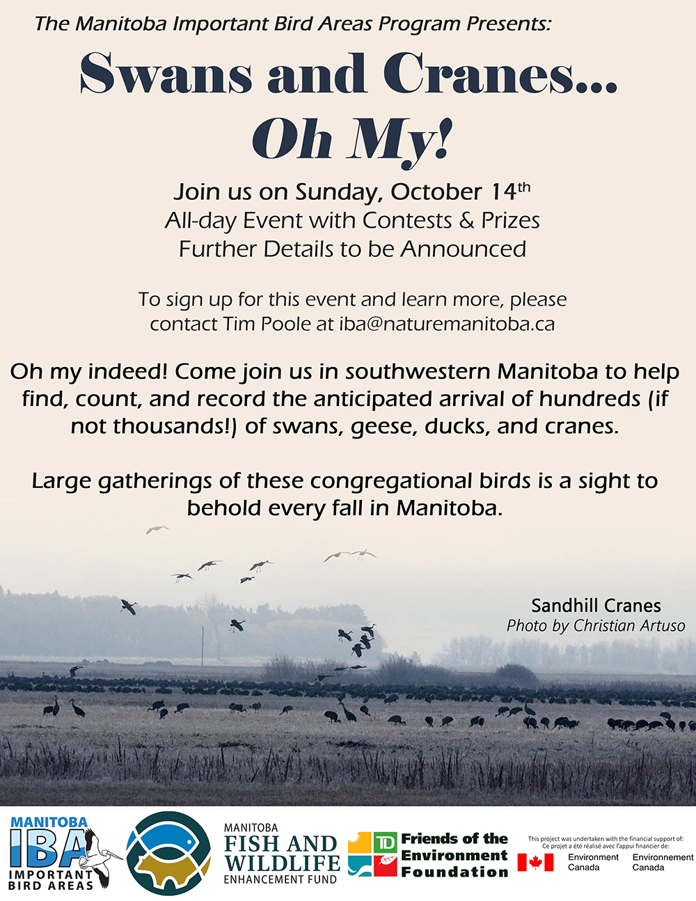 Swans and Cranes oh My_Online.jpg