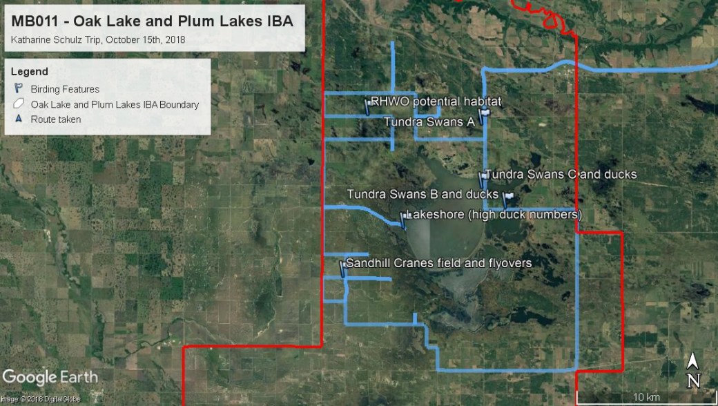 MB011 Katharine Schuklz trip, October 2018