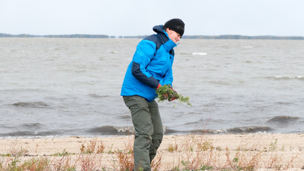 Sandy Bar Weed Pull-October 2018-Lynnea A Parker-1120806
