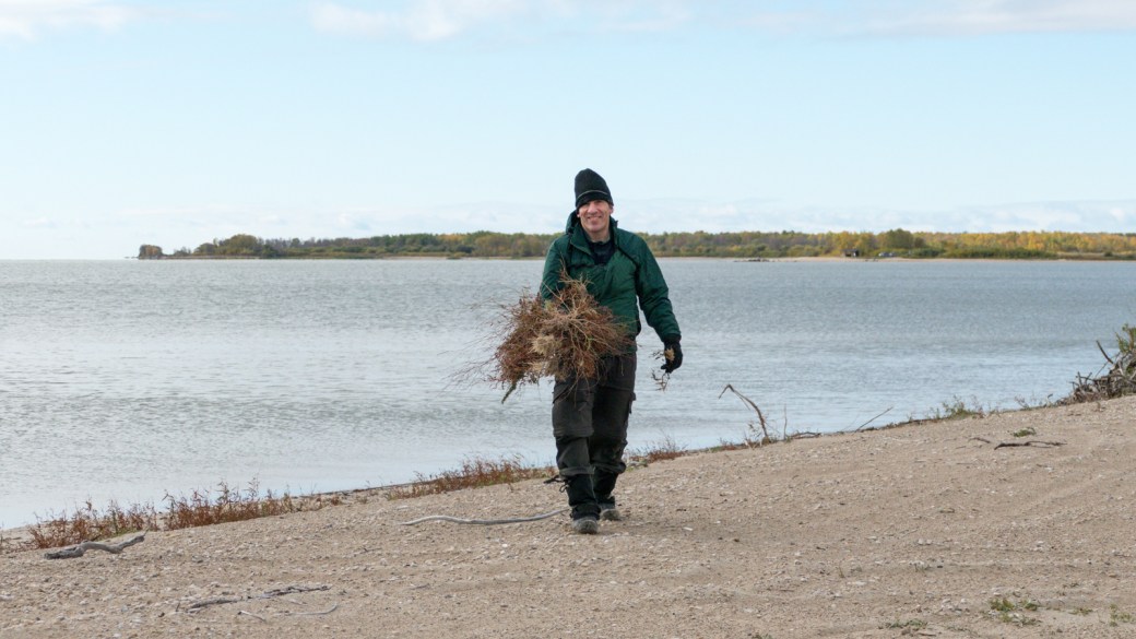Sandy Bar Weed Pull-October 2018-Lynnea A Parker-1120814