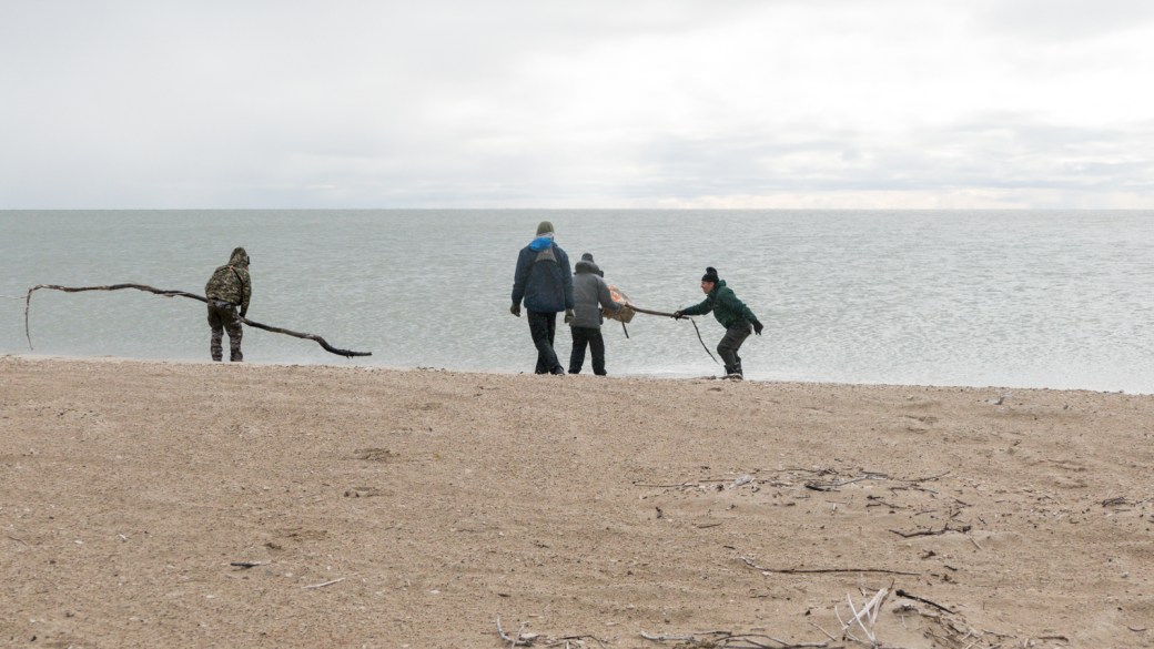 Sandy Bar Weed Pull-October 2018-Lynnea A Parker-1120835