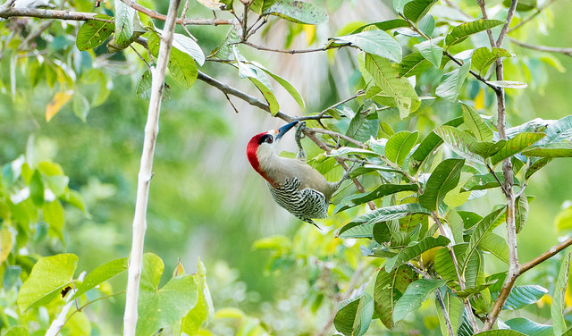 44280879640_98e670f70c_z