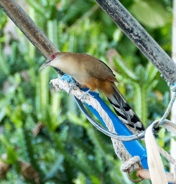 45185301165_8e63718677_z