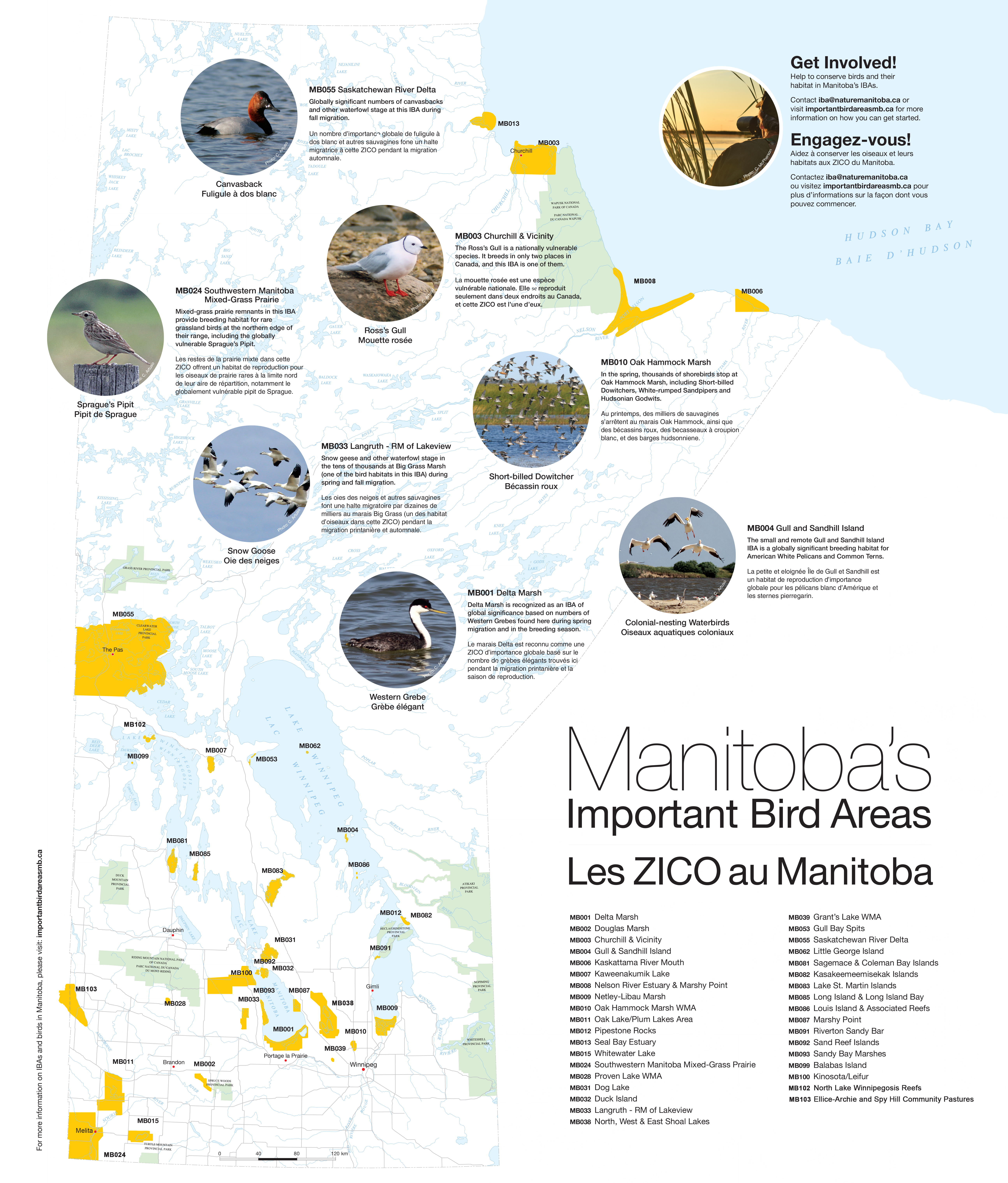 Manitoba IBA Brochure