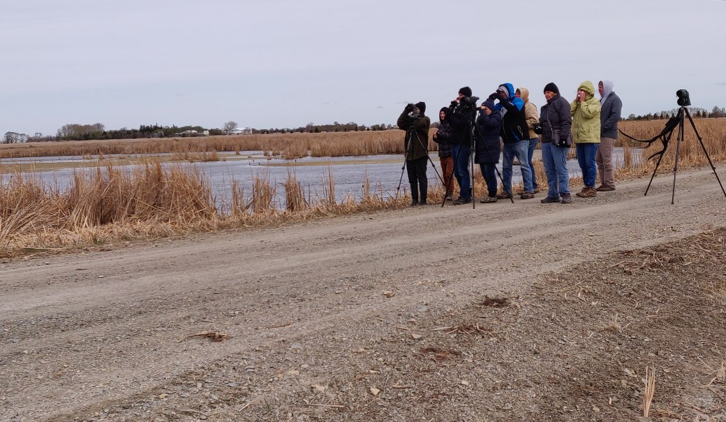 shroebird workshop at Sexrtons_20190518_103201