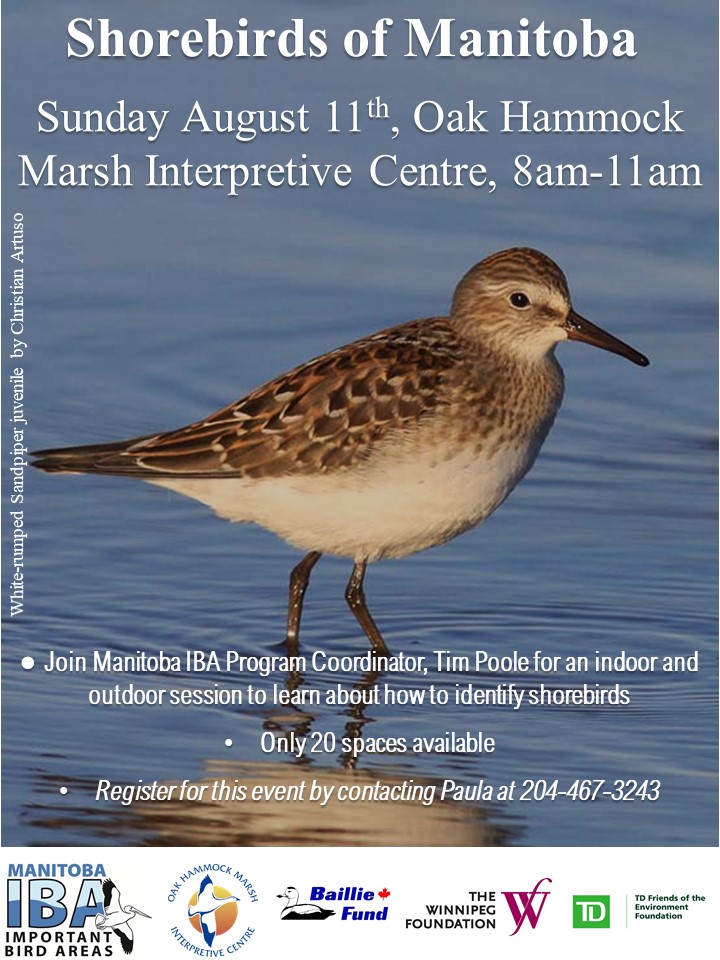 Shorebirds Workshop at OHMIC 11th August 2019 WRSA