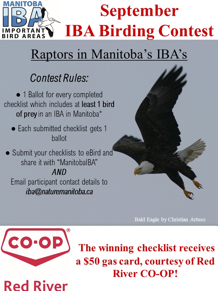 IBA birding contest September.jpg