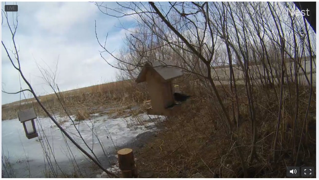 Annotation 2020-04-14 143454