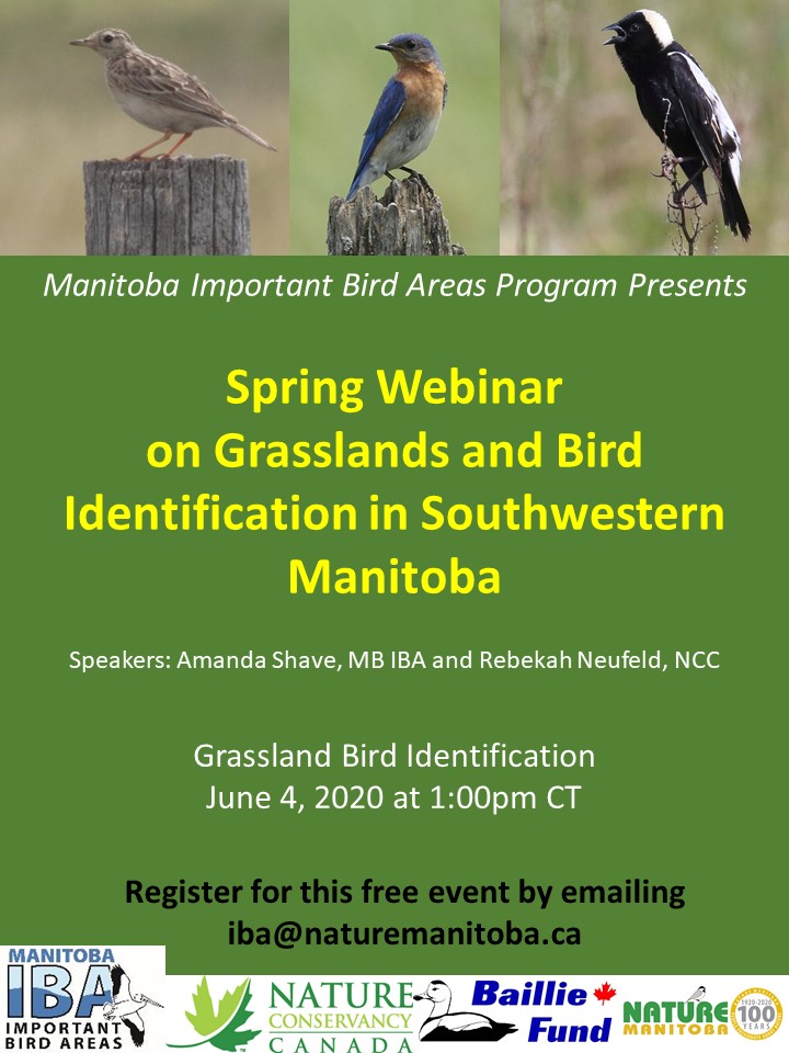 IBA Manitoba Grasslands Poster