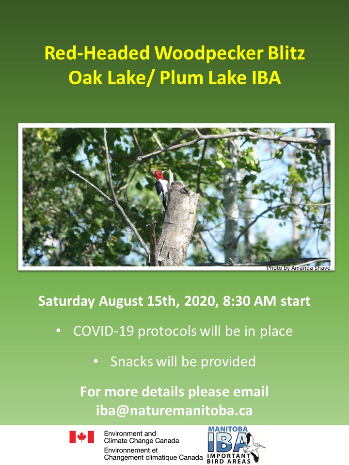 Oak Lakes RHWO Blitz Poster